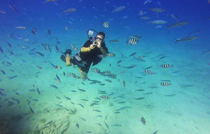 House Reef Dive