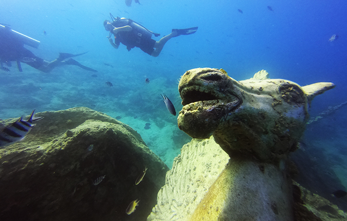 House Reef Dive